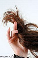 фитотерапия при лечении сухой себореи (уход за волосами)